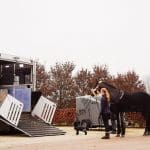 Second-Hand Horsetruck