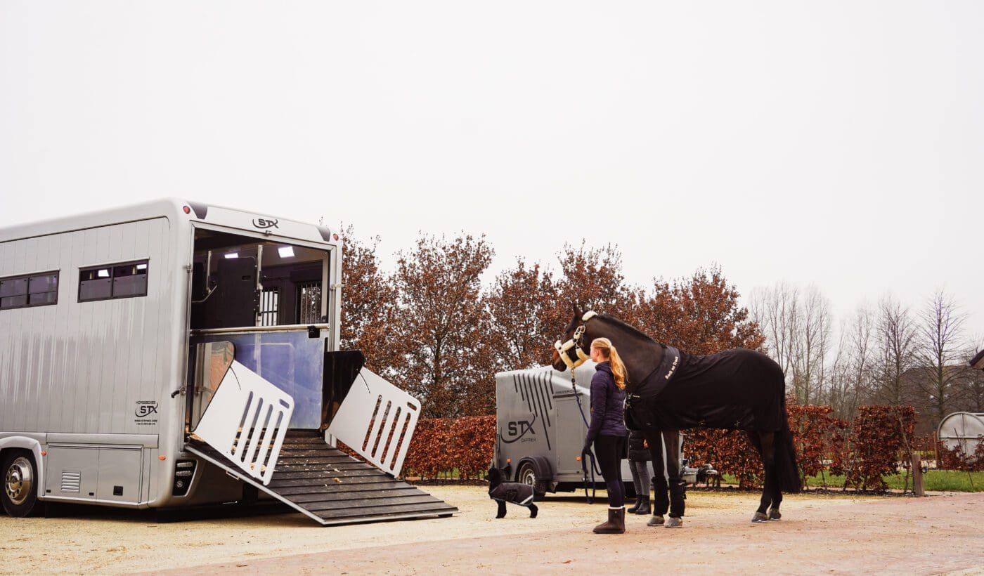 Second-Hand Horsetruck