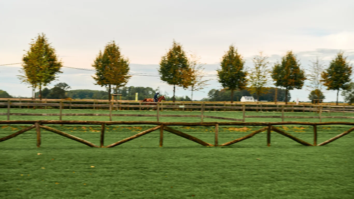 about-banner