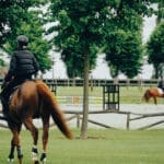 Horse Transport Leasing