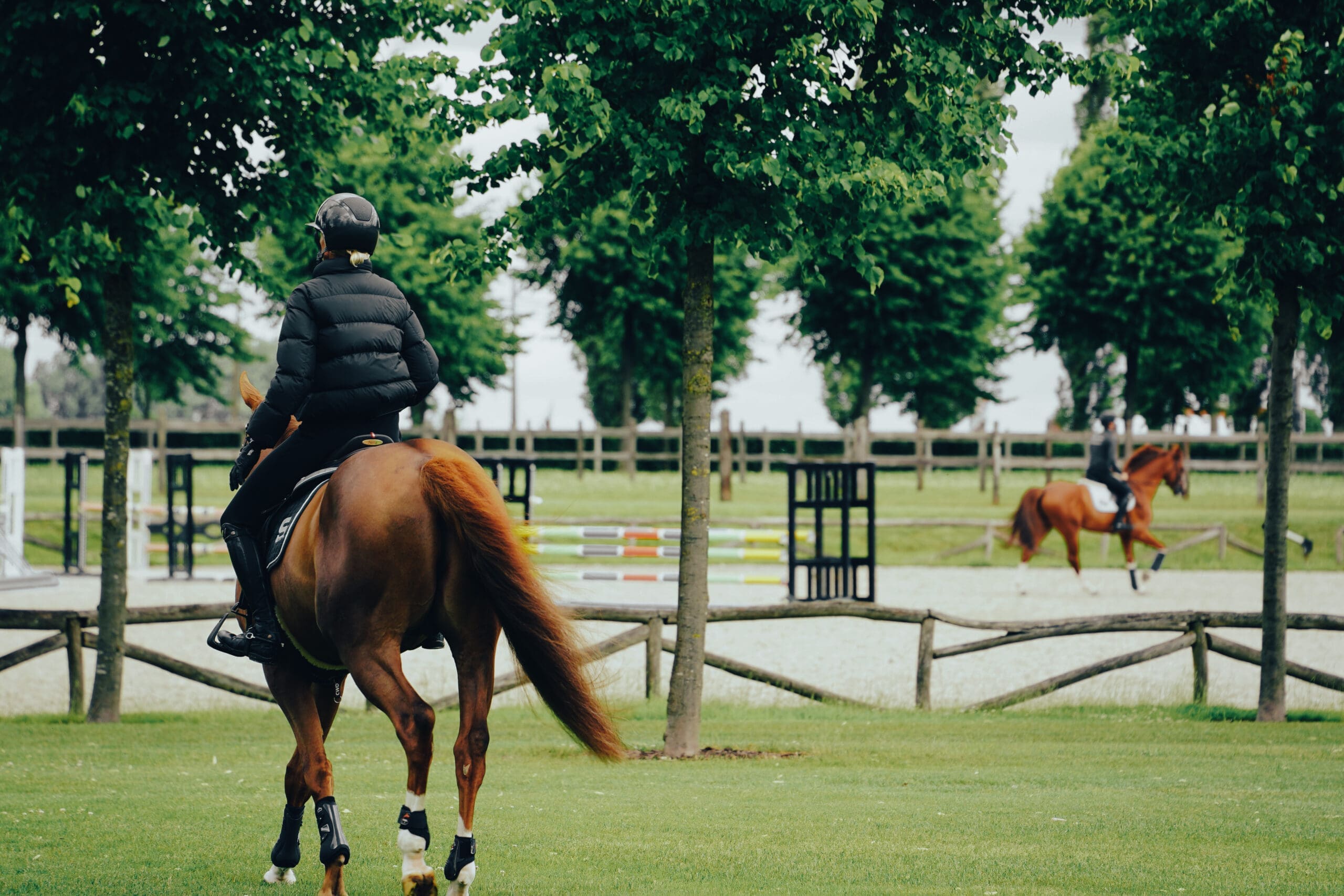 Horse Transport Leasing that puts Horses First Horse Transport Leasing
